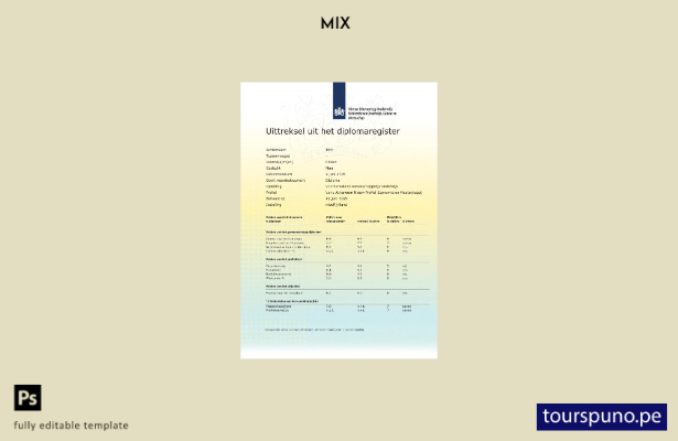 listo para imprimir Plantilla de extracto de registro de diploma de MboRijnland 